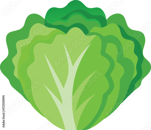 Fresh green lettuce head vector illustration scalable eps icon for healthy food designs