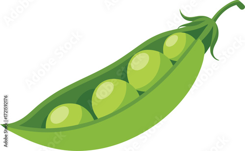 Open pea pod illustration fresh green peas vector graphic scalable eps icon
