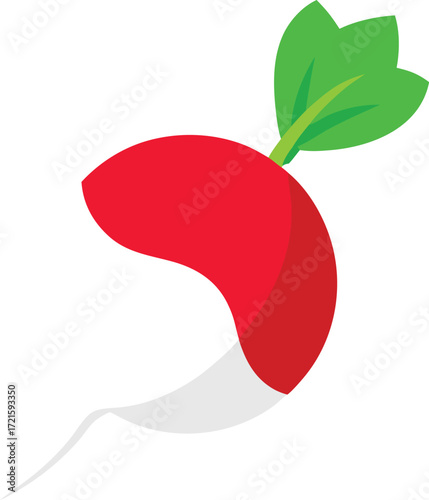 Vibrant red radish illustration scalable vector graphic for food and health themes