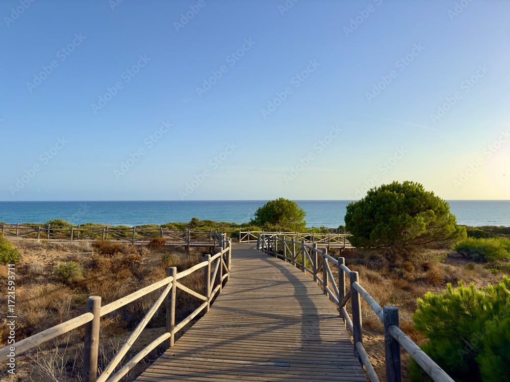 Fototapeta premium evening light at the coast with dunes near Marbella, wooden walkway to the Mediterranean Sea, Costa del Sol in the summer, Andalusia, Spain