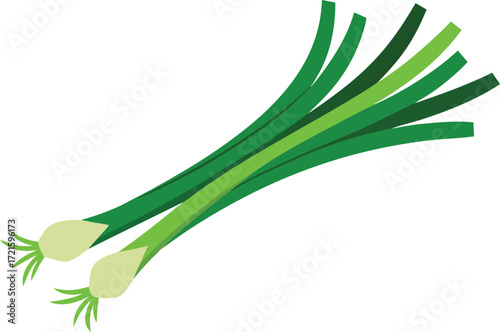 Fresh scallions bunch vector illustration scalable eps food ingredient graphic