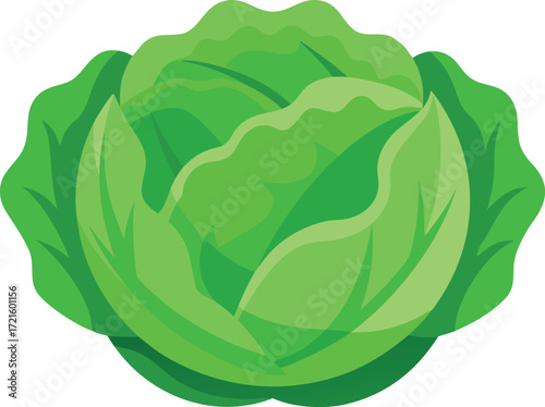 Vibrant green cabbage illustration vector art scalable healthy food ingredient
