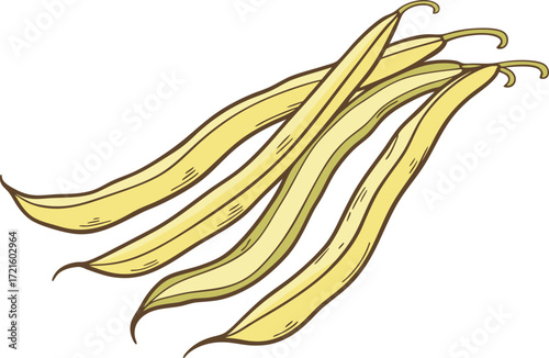 Realistic vector illustration of yellow wax beans fresh healthy vegetables for food design