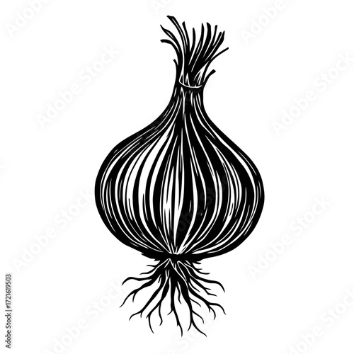 Fresh onion and garlic bulbs with green sprouts are isolated on a white background, perfect for use as a healthy food ingredient
