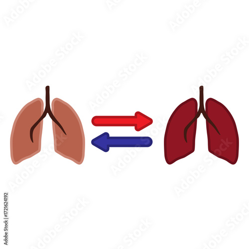 Lung Transplant