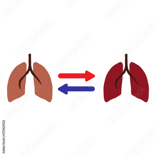 Lung Transplant