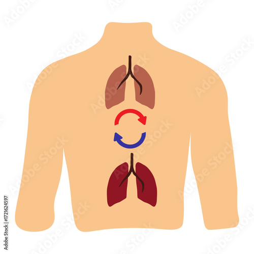 Lung Transplant