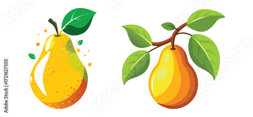 Pear fruit illustrations vector art design for food posters and healthy eating projects

