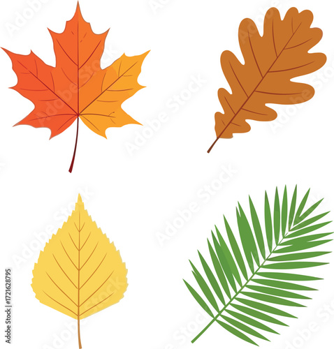 Colorful autumn leaves, including maple, oak, birch, and palm