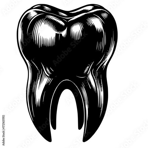 Molar Tooth vector image illustration
