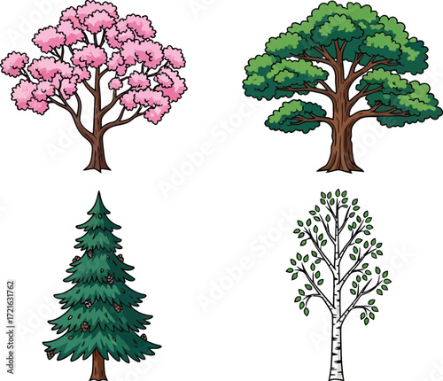 Four tree species, including cherry blossom, oak, fir, and birch