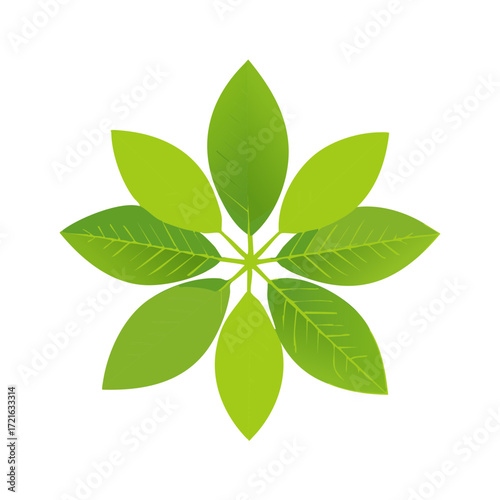 Radiating Green Leaves Form a Circular Floral Pattern