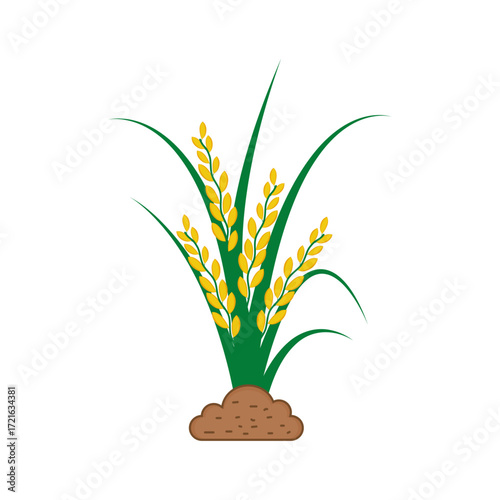 Paddy Spikelet of Rice Plant Vector Illustration Perfect for use in agricultural designs, farming concepts, food industry projects, educational materials, and botanical graphics.