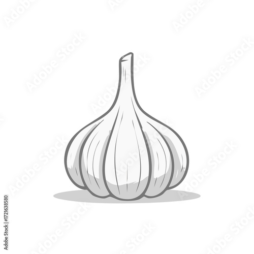 Single garlic bulb artwork displaying detailed cloves and stem, food ingredient element for creative culinary projects