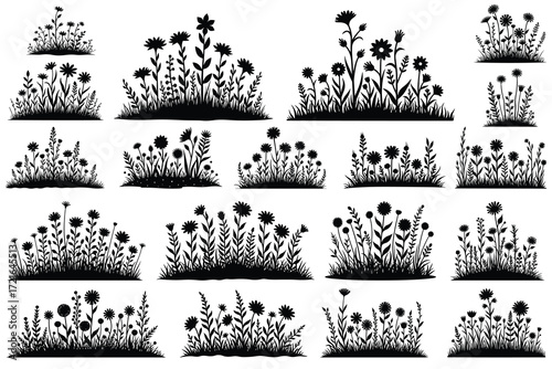 Black silhouette wildflower and foliage clusters on white background 1