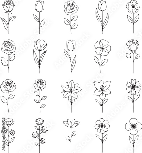 Assortment of Hand- Drawn Single Stem Flowers floral botanical