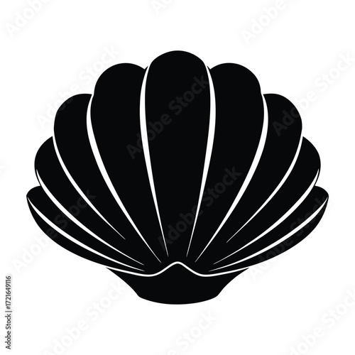 giant clam shell vector illustration. 