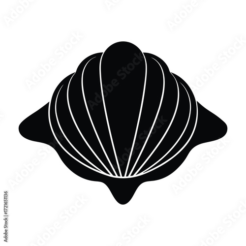 vector illustration of a  top shell