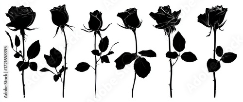 Silhouettes of roses, vector graphics, simple shapes, black on white background