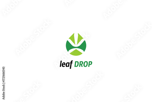 Leaf and drop templge logo design solution