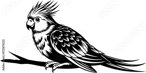 Ultra-realistic digital painting of a cockatiel bird perched on a branch. Fine feather details with soft gray plumage, bright yellow face, and orange cheek patches. Natural sunlight highlights the tex