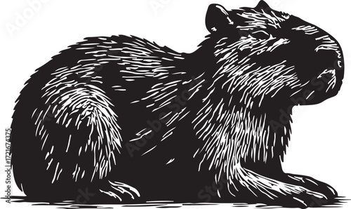 Detailed black and white illustration of a capybara sitting calmly in profile showcasing its fur texture and features