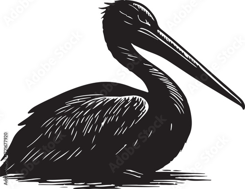 Black and white sketch of a pelican with a long beak sitting on a white background