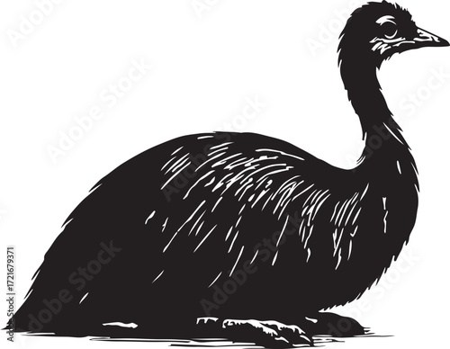 Detailed black and white illustration of a large prehistoric bird with a long neck sitting down