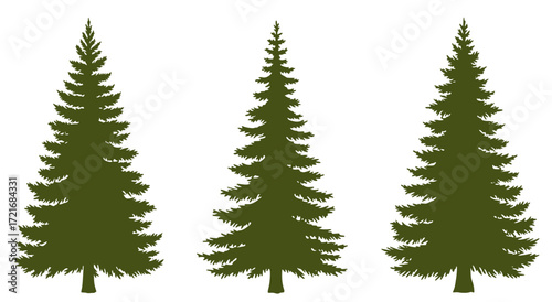 handmade douglas fir tree silhouettes vector illustration set 