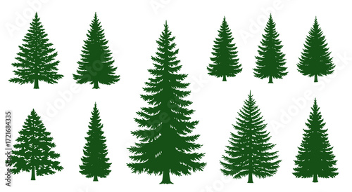 handmade douglas fir tree silhouettes vector illustration set 