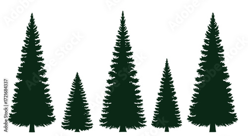 handmade douglas fir tree silhouettes vector illustration set 