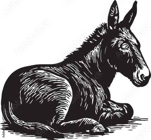 Detailed black and white woodcut illustration of a donkey resting peacefully on a white background