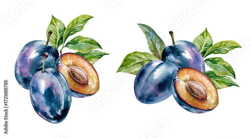 Foto Plums, half and whole purple fruits with fresh green leaves hand drawn watercolor illustration