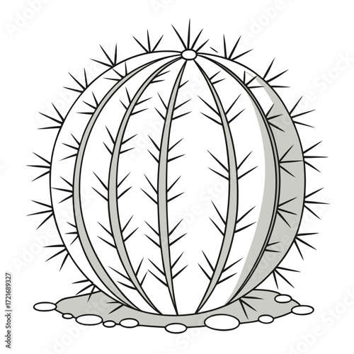 Round barrel cactus with thorns is resting on pebbles in a clear backdrop