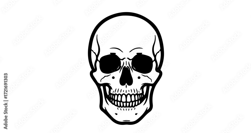 Fototapeta premium Skull, a symbol of mortality and the human skeleton, often used in art