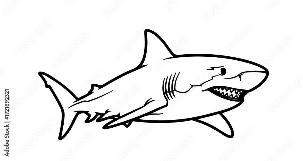 Fototapeta premium Illustration of a great white shark with sharp teeth, a powerful predator