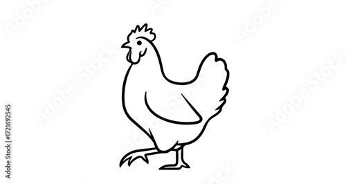 Illustration of a chicken, a domestic fowl often raised for meat and eggs
