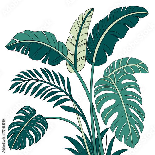 Stylized illustration of lush tropical foliage with large monstera and banana leaves in shades of green