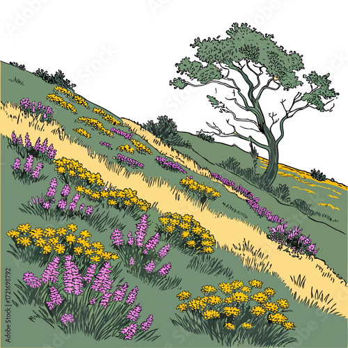 Vibrant hillside landscape illustration with a solitary tree and colorful wildflowers blooming along a winding path