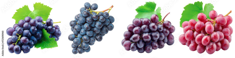 Fototapeta premium Close-up shot of various fresh grapes with green leaves 