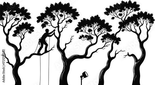 Arborists at work trimming trees, silhouetted tree climbers, forest maintenance, professional tree care, outdoor landscaping, safety gear, climbing equipment, urban forestry, tree pruning