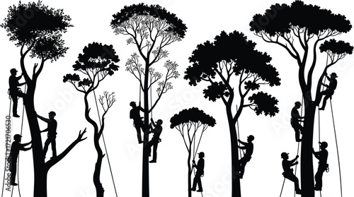 Arborists at work trimming trees, silhouetted tree climbers, forest maintenance, professional tree care, outdoor landscaping, safety gear, climbing equipment, urban forestry, tree pruning