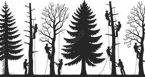Silhouetted arborists climbing and trimming trees in forest, tree care workers, forestry maintenance, outdoor nature work, climbing gear, safety equipment, tree pruning, environmental conservation