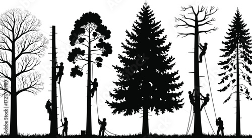 Silhouetted arborists climbing and trimming trees in forest, tree care workers, forestry maintenance, outdoor nature work, climbing gear, safety equipment, tree pruning, environmental conservation