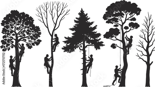 Silhouetted arborists climbing and trimming trees, tree care workers, forest maintenance, outdoor landscaping, safety gear, tree pruning, urban forestry, professional tree climbers