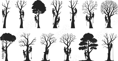 Silhouetted arborists trimming trees, tree climbing workers, forest maintenance, urban forestry, tree care professionals, safety gear, pruning tools, outdoor landscaping, nature conservation