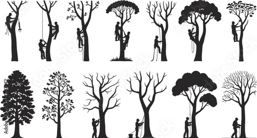 Silhouetted arborists trimming trees, tree climbing workers, forest maintenance, urban forestry, tree care professionals, safety gear, pruning tools, outdoor landscaping, nature conservation