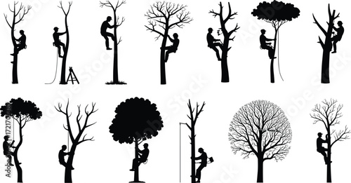 Silhouetted arborists trimming trees, tree climbing workers, forest maintenance, urban forestry, tree care professionals, safety gear, pruning tools, outdoor landscaping, nature conservation