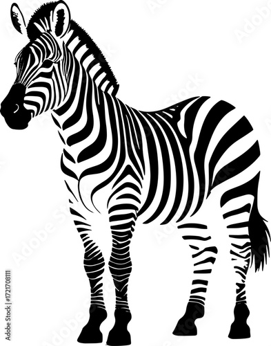 Monochrome Majesty A Striking Zebra Illustration Showcasing the Beauty of Contrasting Stripes and Elegant Form in a Timeless Animal Portrait