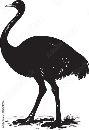 Silhouette of a large flightless bird with long neck and legs standing on textured ground